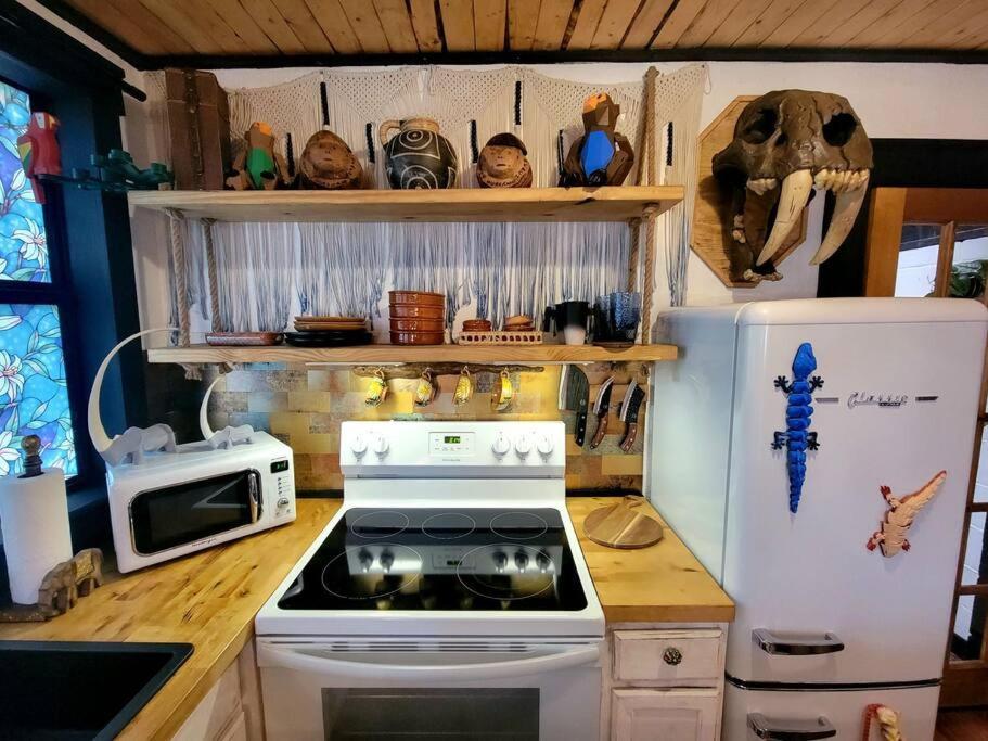 Ferienhaus Cozy Af Jungle-house Hideaway Tampa