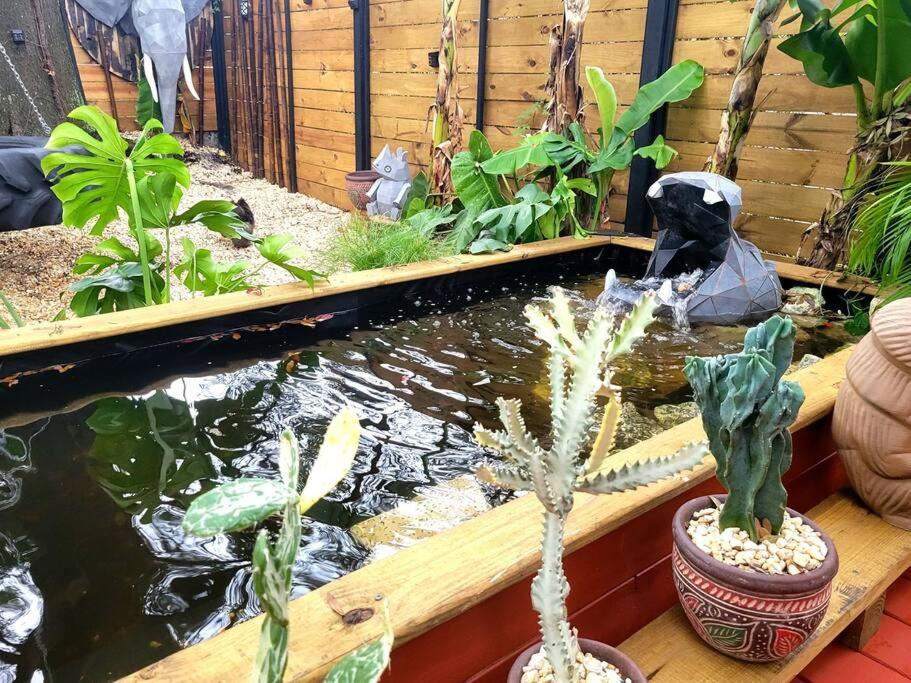 Cozy Af Jungle-house Hideaway * Tampa
