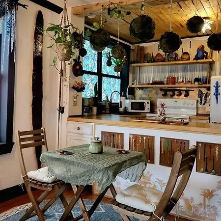Cozy Af Jungle-House Hideaway Villa Tampa Exterior photo