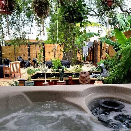 Cozy Af Jungle-House Hideaway Villa Tampa Exterior photo