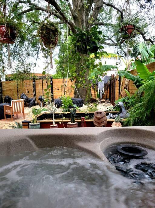 Cozy Af Jungle-house Hideaway * Tampa