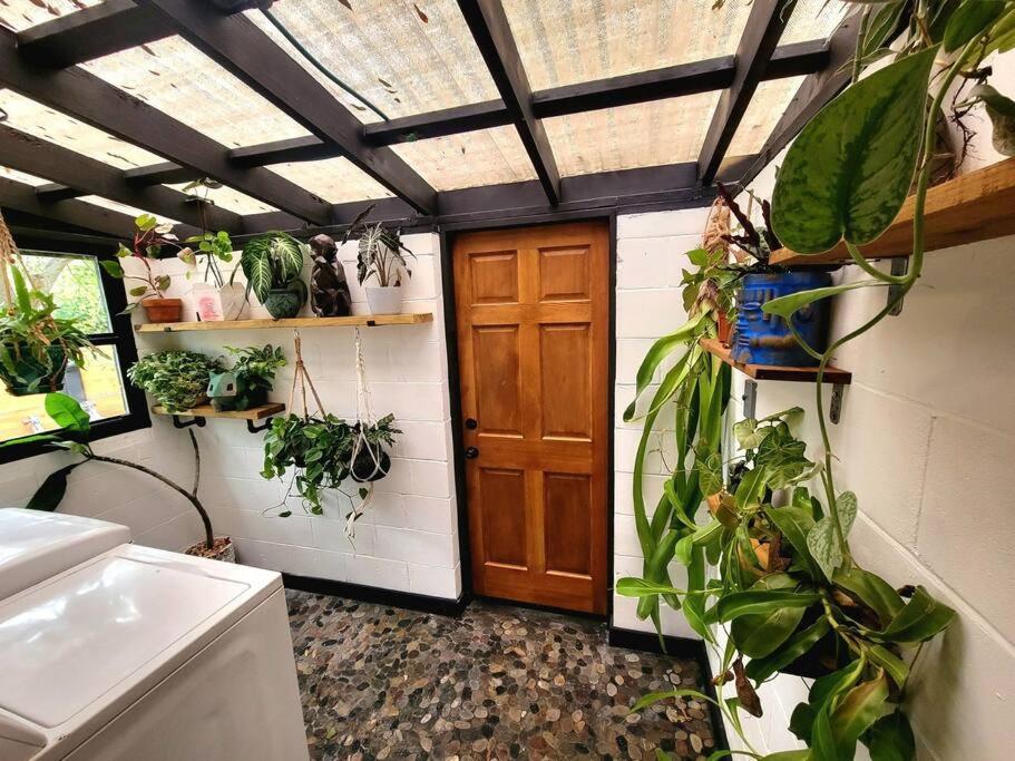 Cozy Af Jungle-house Hideaway Holiday home Tampa