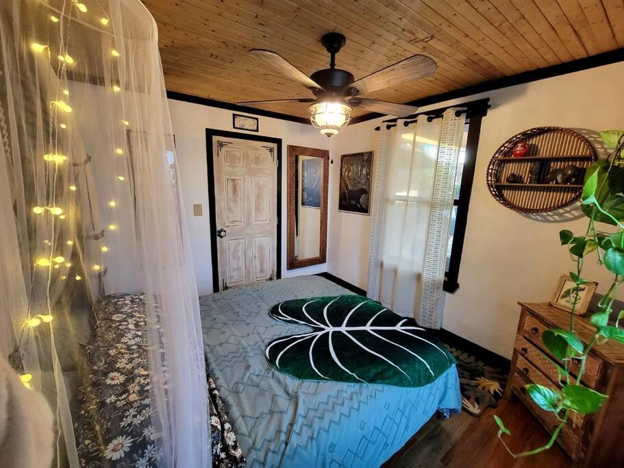 Cozy Af Jungle-house Hideaway Tampa