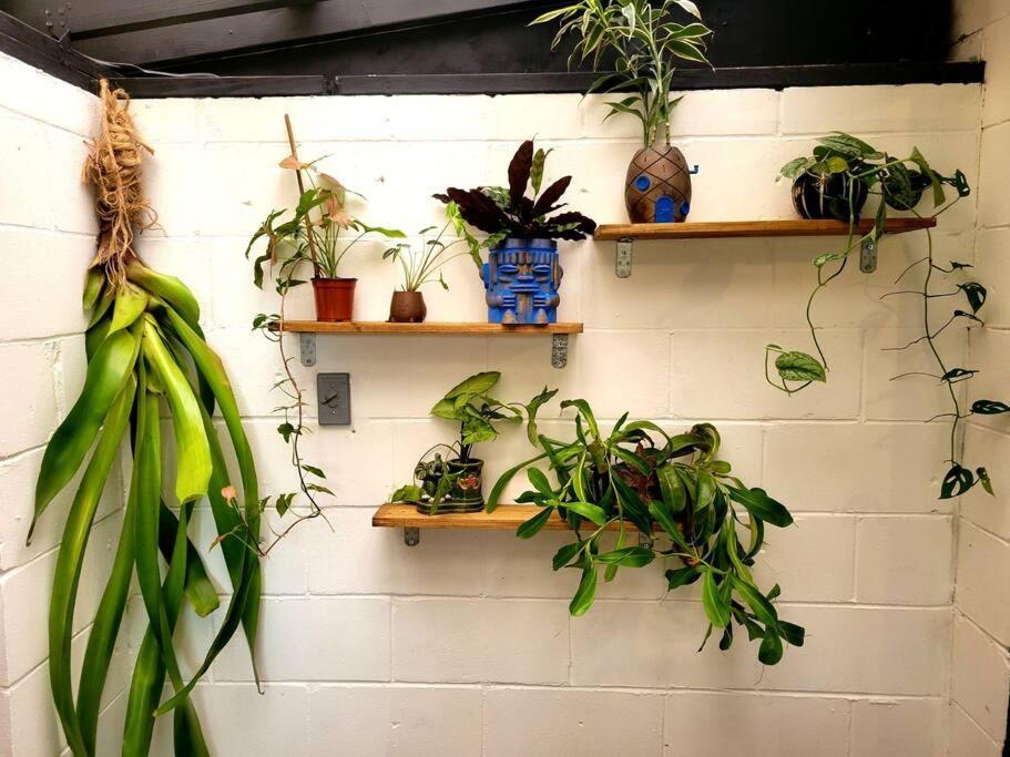 Cozy Af Jungle-house Hideaway